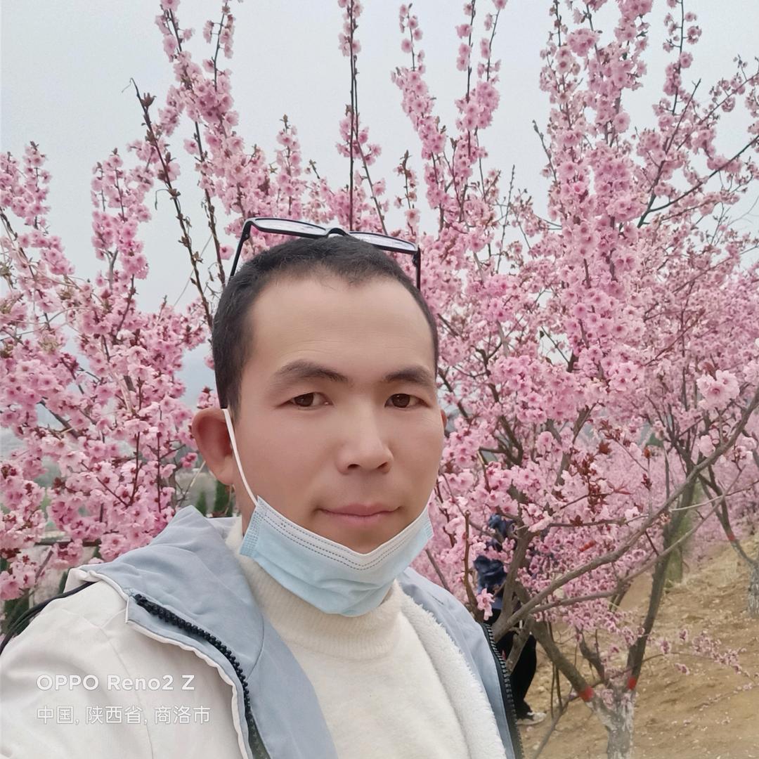 绿叶彩钢，树脂瓦，集装箱