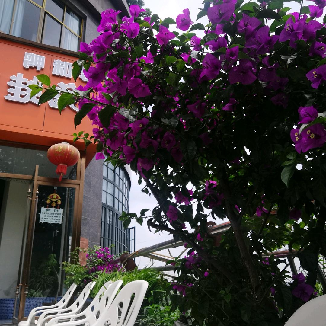 用户7272982117378天使的翅膀