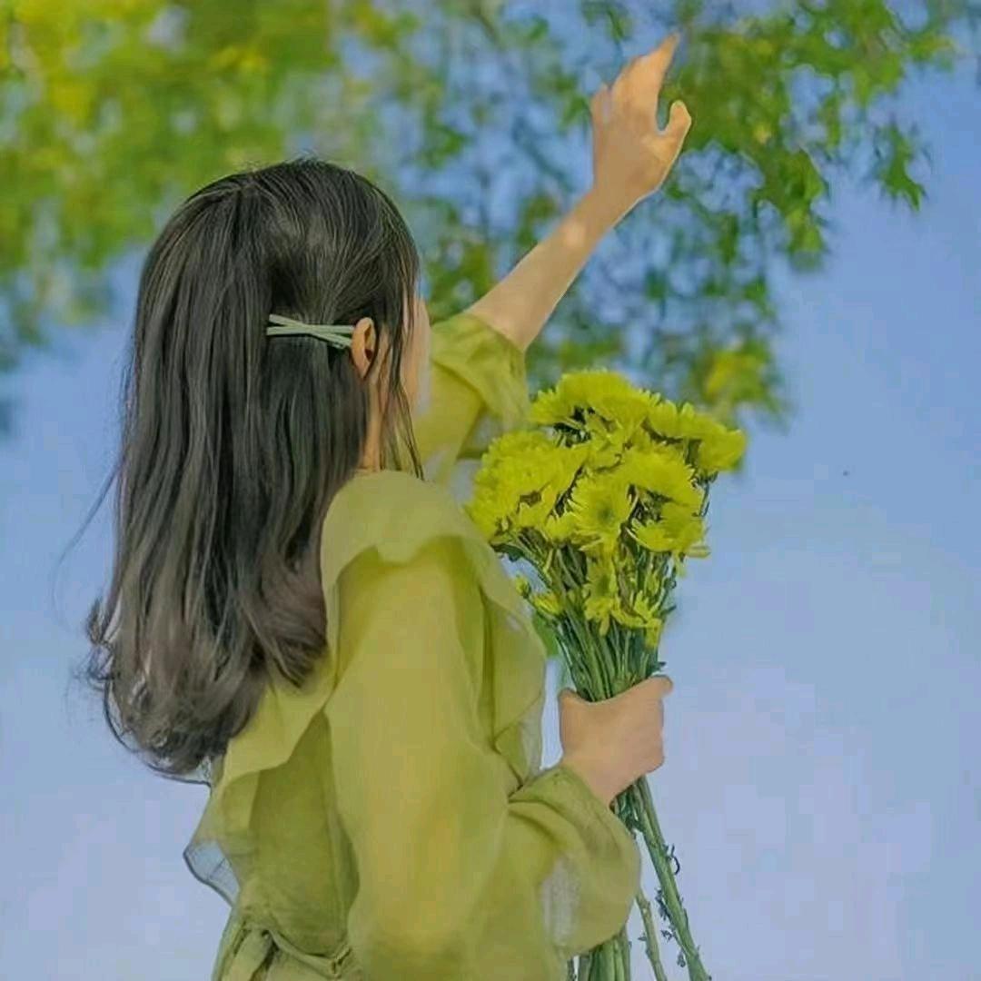 燕爆爆