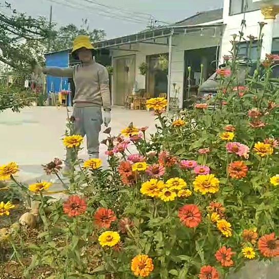 开心幺妹（拒私聊）