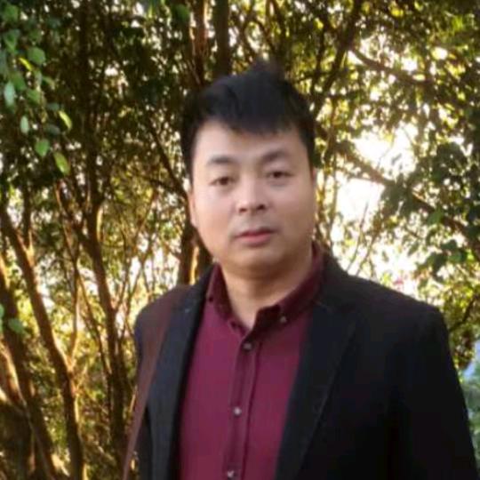 岸柳成行