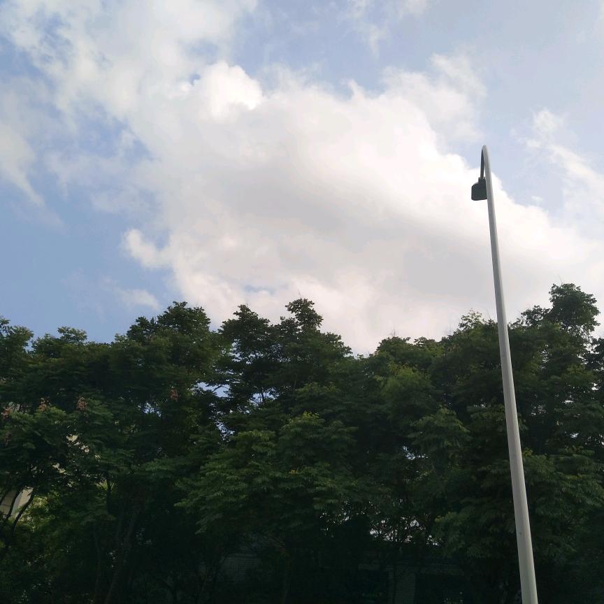 作兴尼