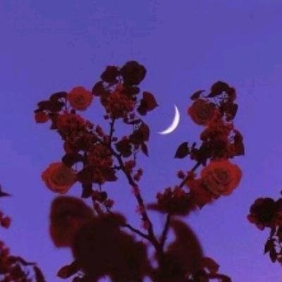 西芝