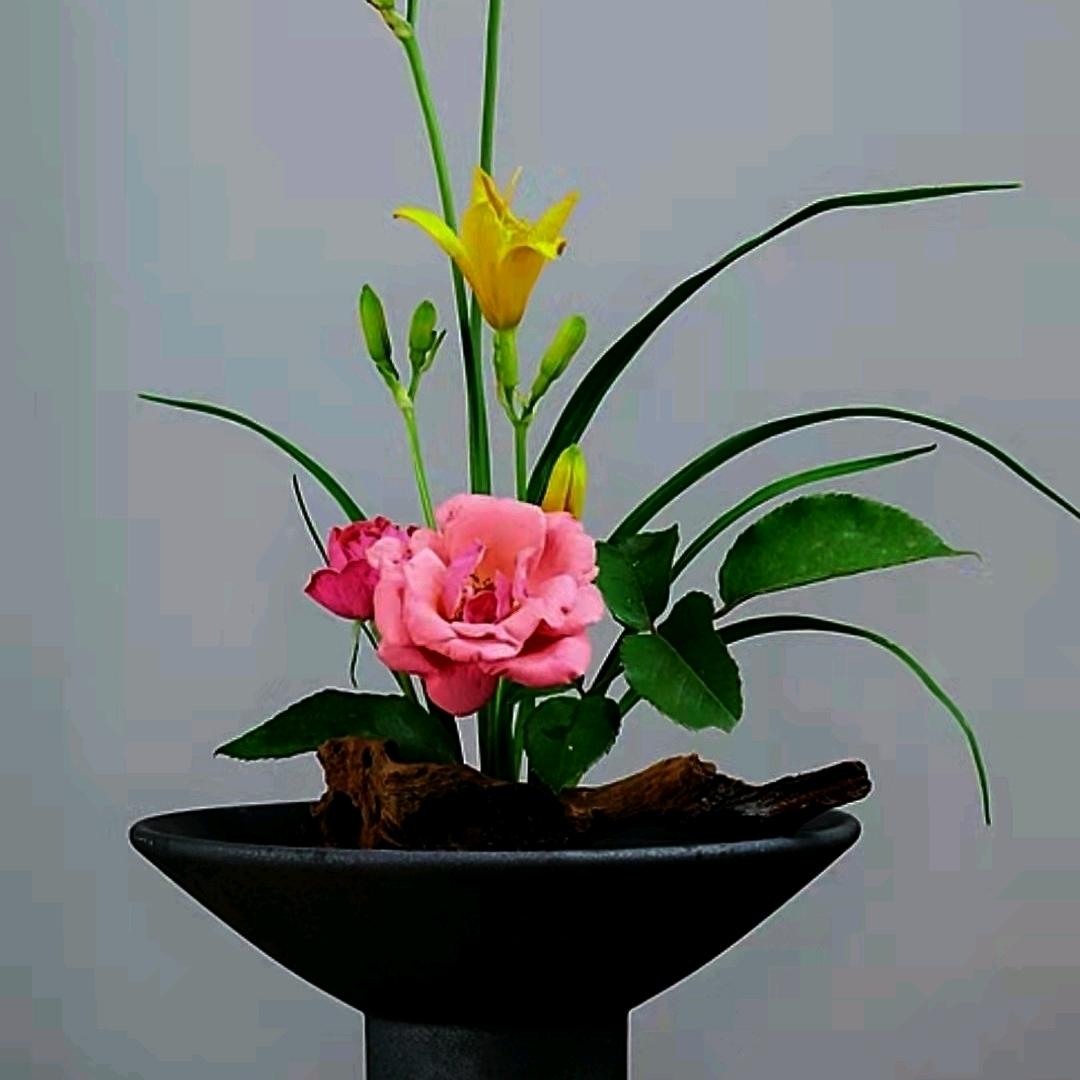 长春市成巢普商贸行