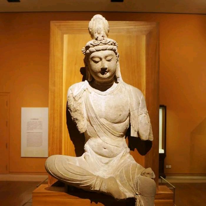 臻宝商贸(瑜哥聊古)