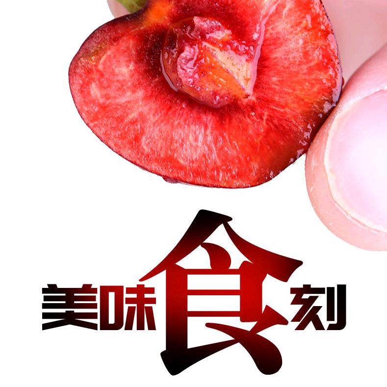 太阳👄 ⁸⁰¹³☀️