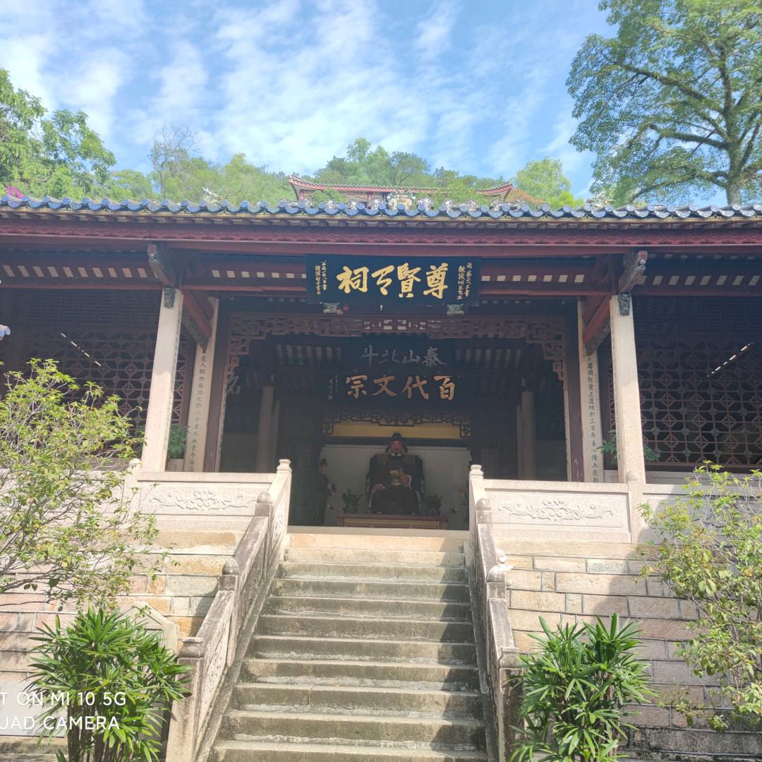 一枝一叶总关情