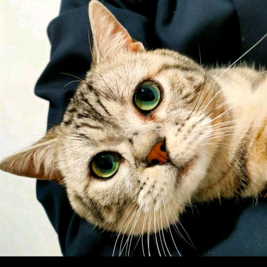 此心安处即吾乡。