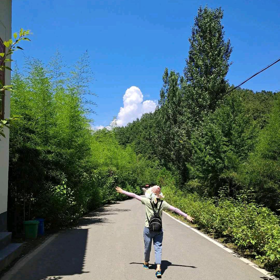 登封芳华陈陈吖