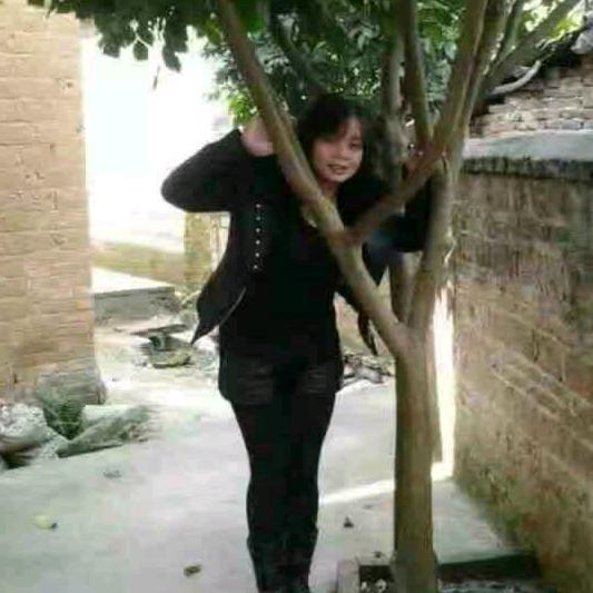 心雨～