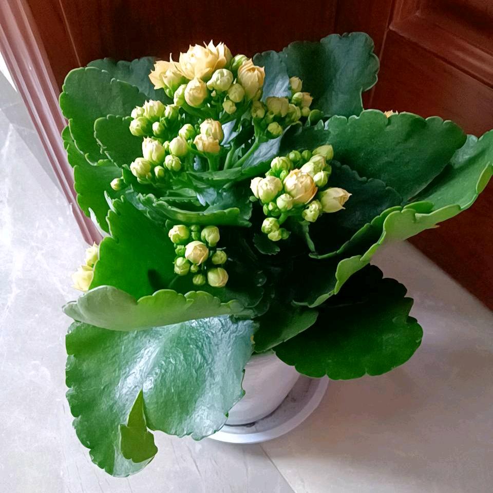 生活更美好
