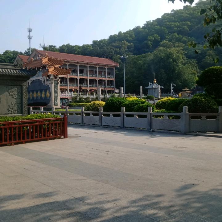 ❄️雪地孤行❄️