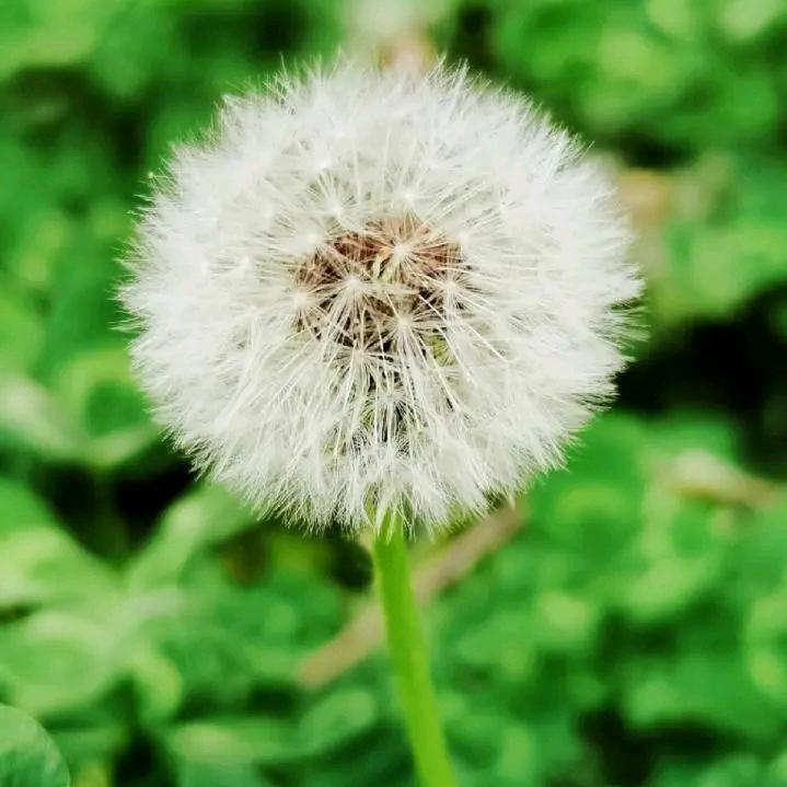 时间都去哪儿了！