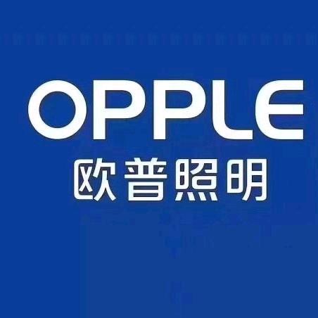六安大洋商贸欧普照明