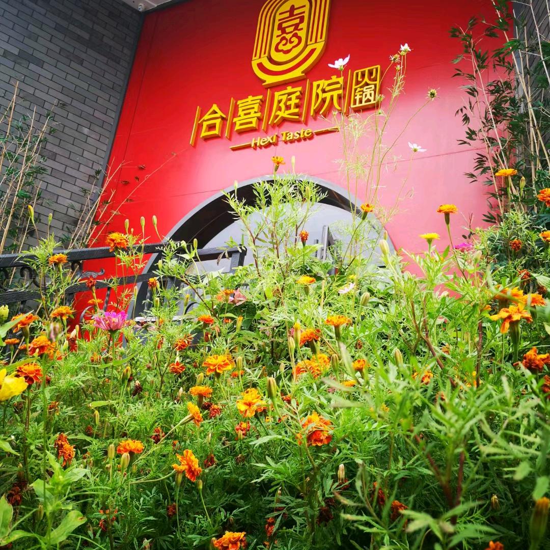 合喜庭院火锅