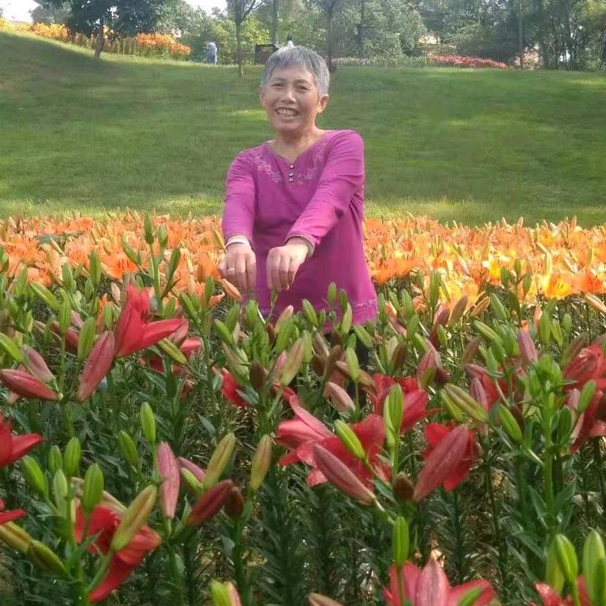 张妈妈