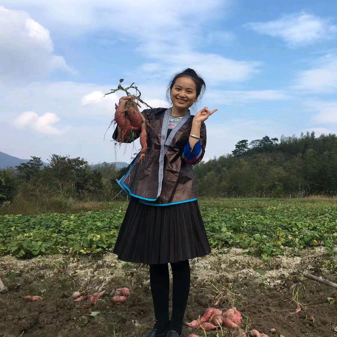 秋野家