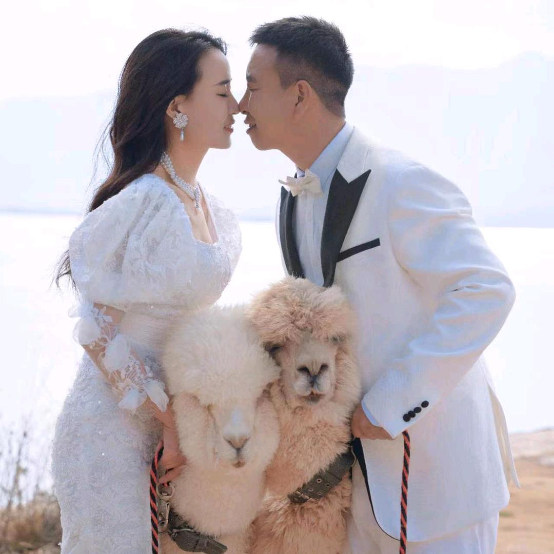 懒懒兔🐰