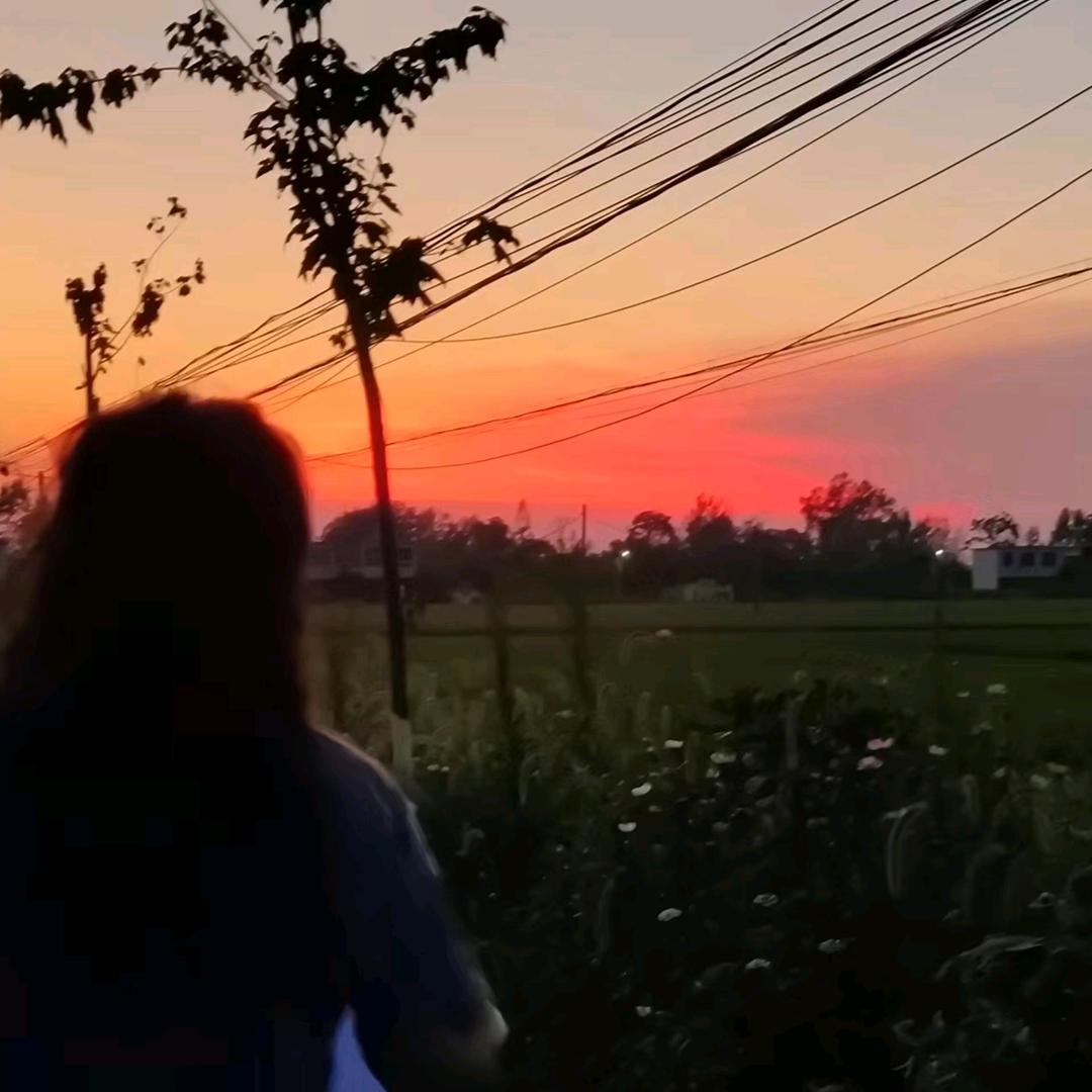 没饱哇哇哇