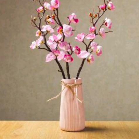 岁月静好💝