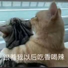午夜快乐