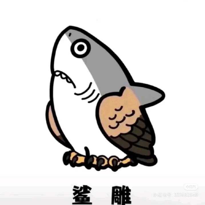 沙雕游测