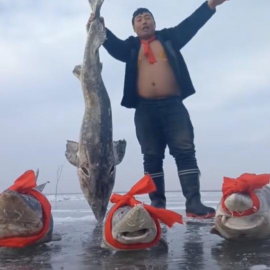 黑龙江捕鱼小黑