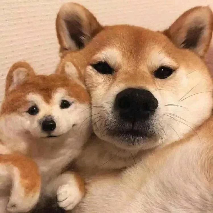 王超然