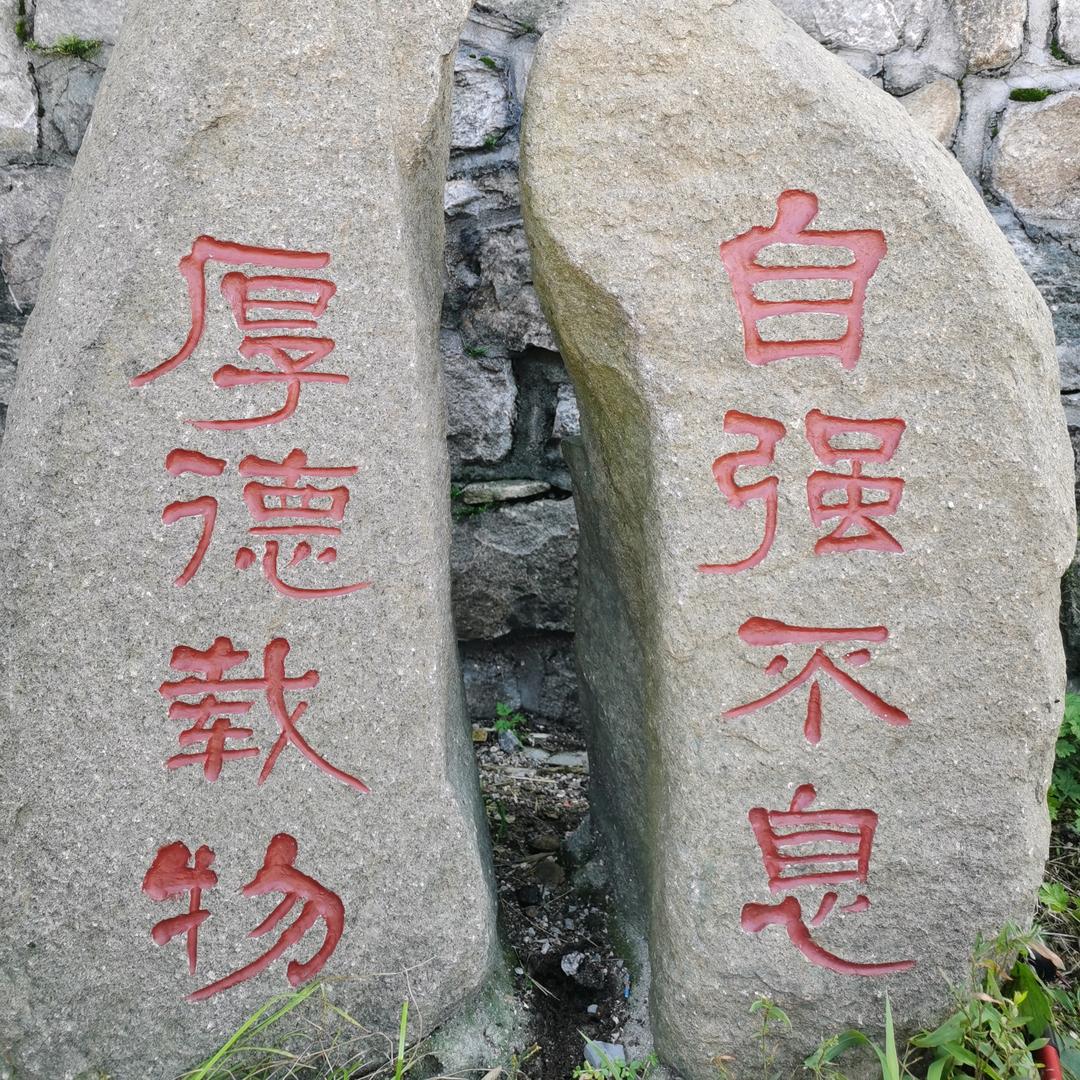 华林来了