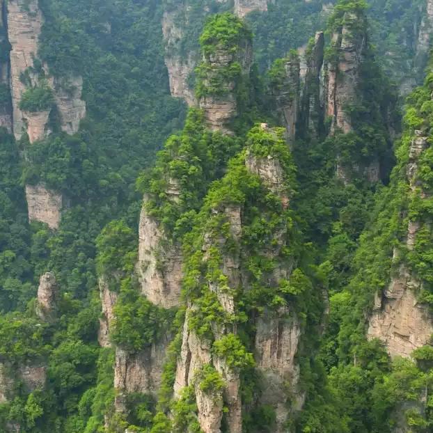 江西靖安宝峰，周老大