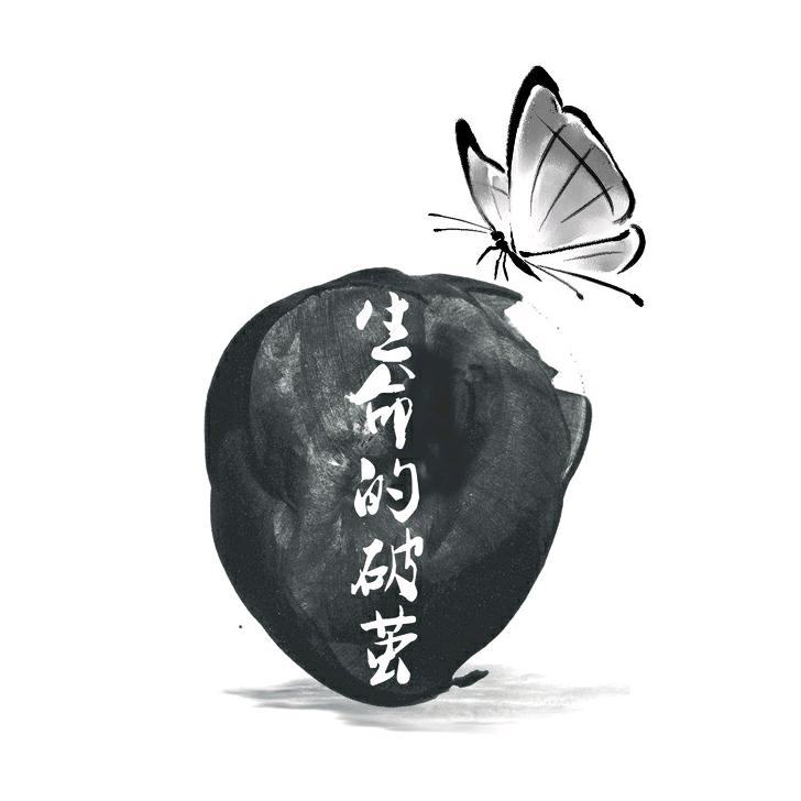 洞见2024
