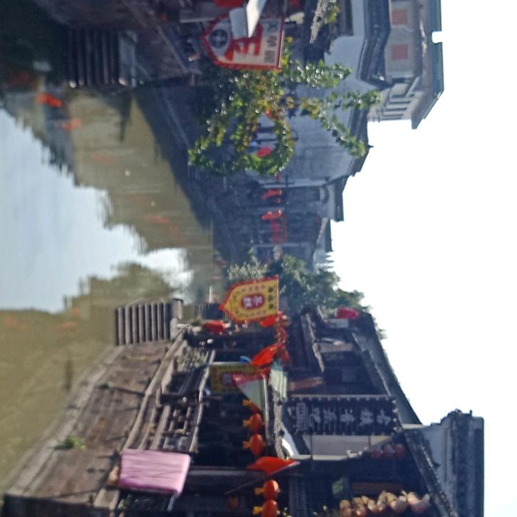 春暖花开，鸟语花香