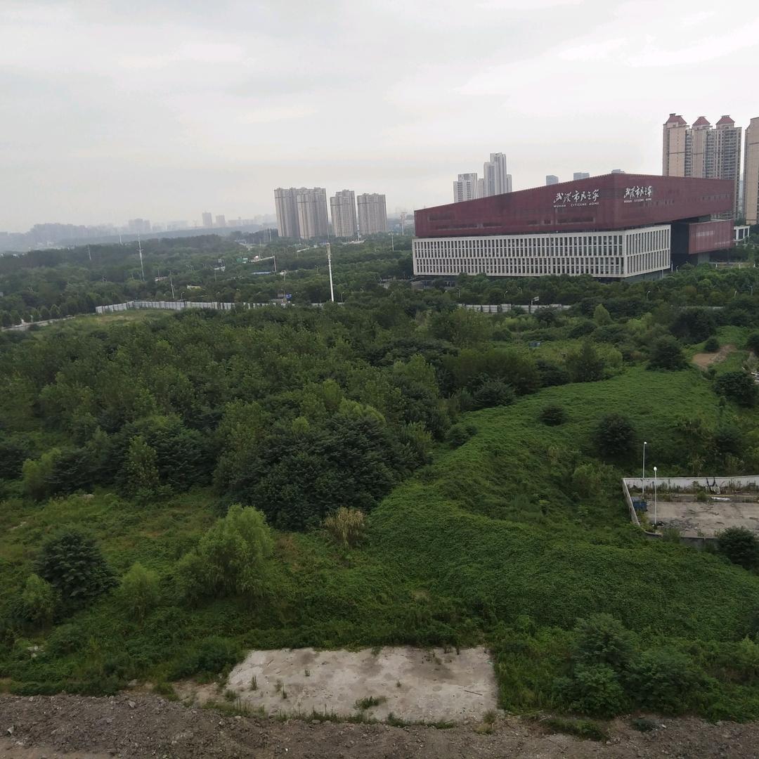 慰蓝的心