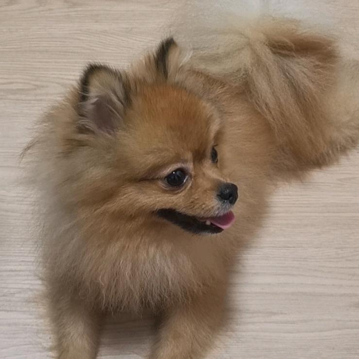 🌈粥粥