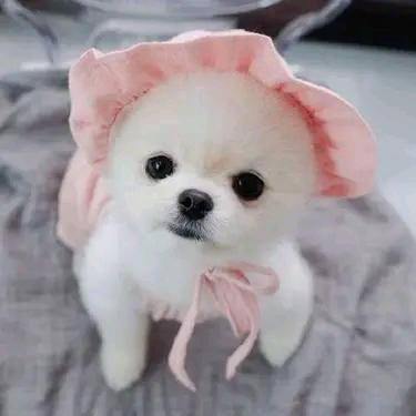 坤姐