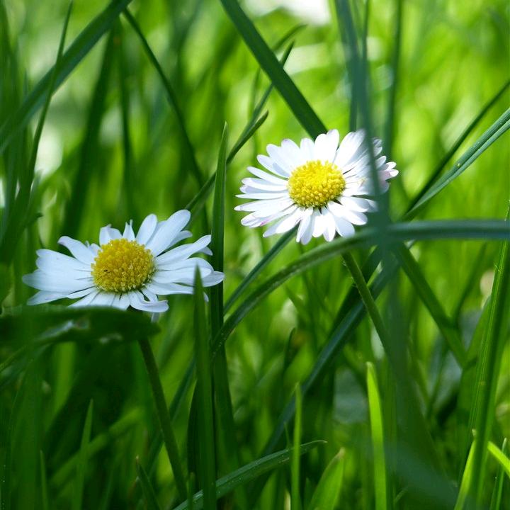 在桥北卖麻辣烫的小姐姐