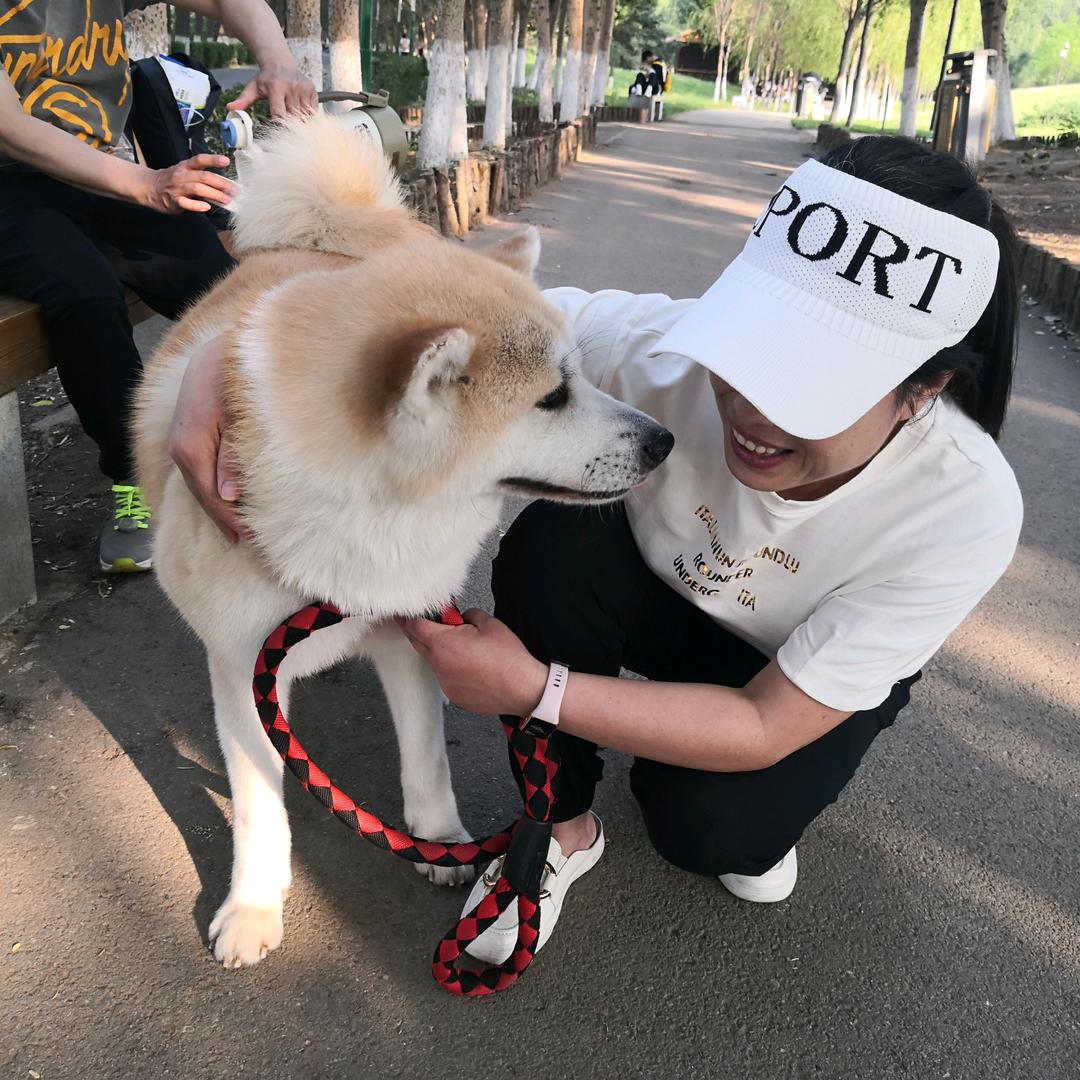 嘻嘻