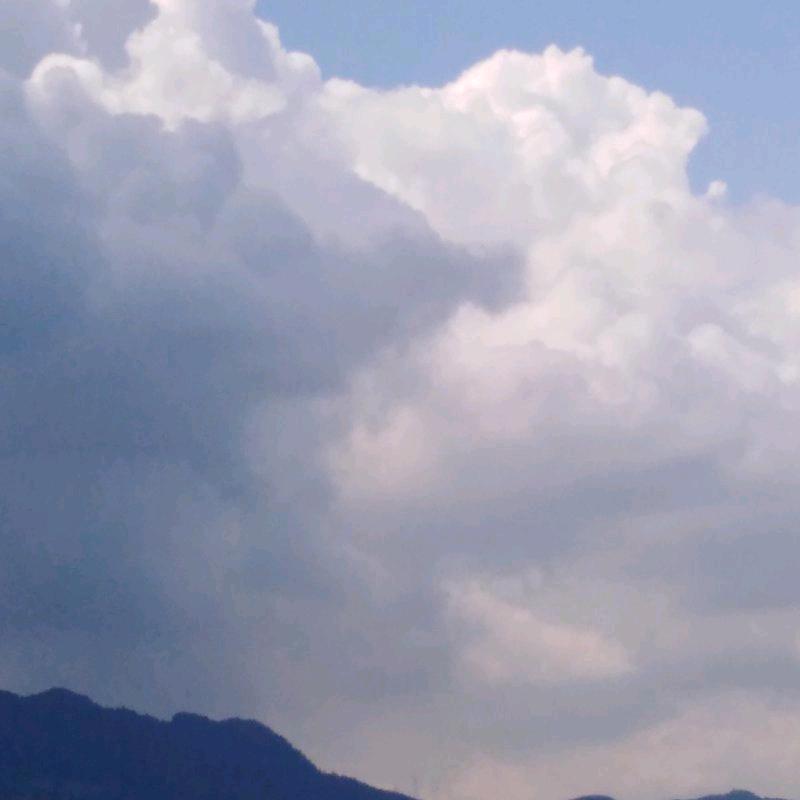 连师