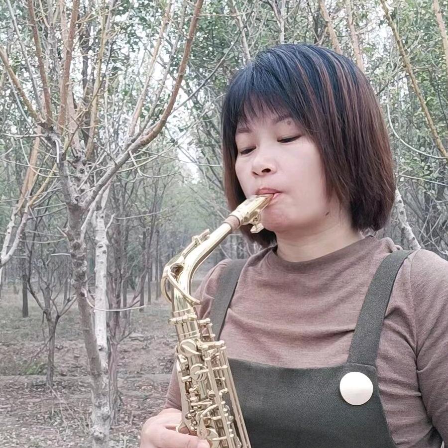 迈森乐器精选