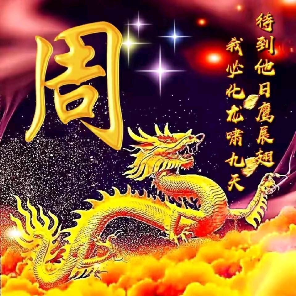 新疆鑫联钢材租赁站