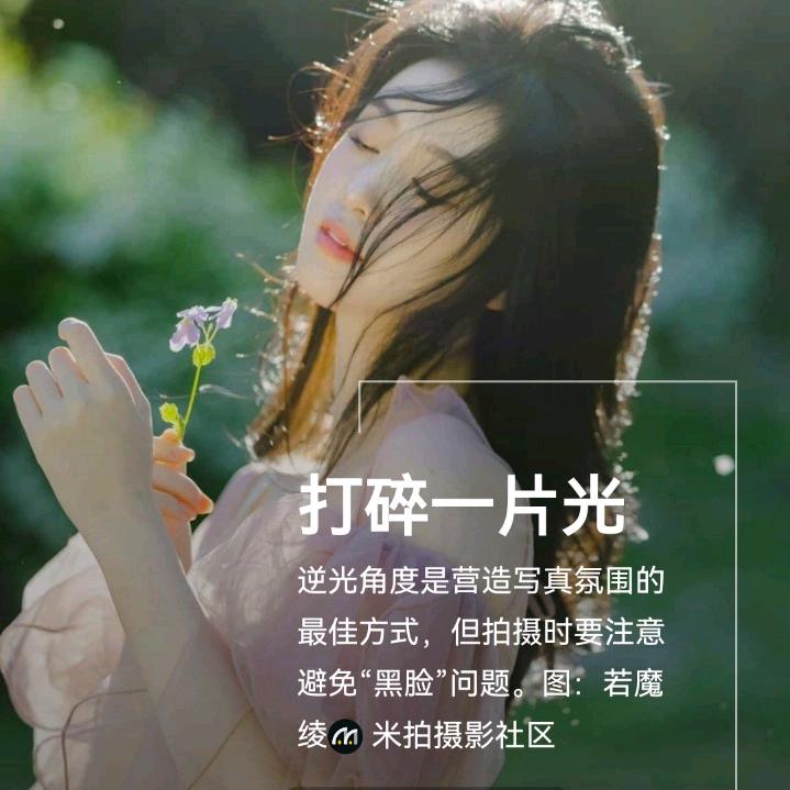 紫 恋