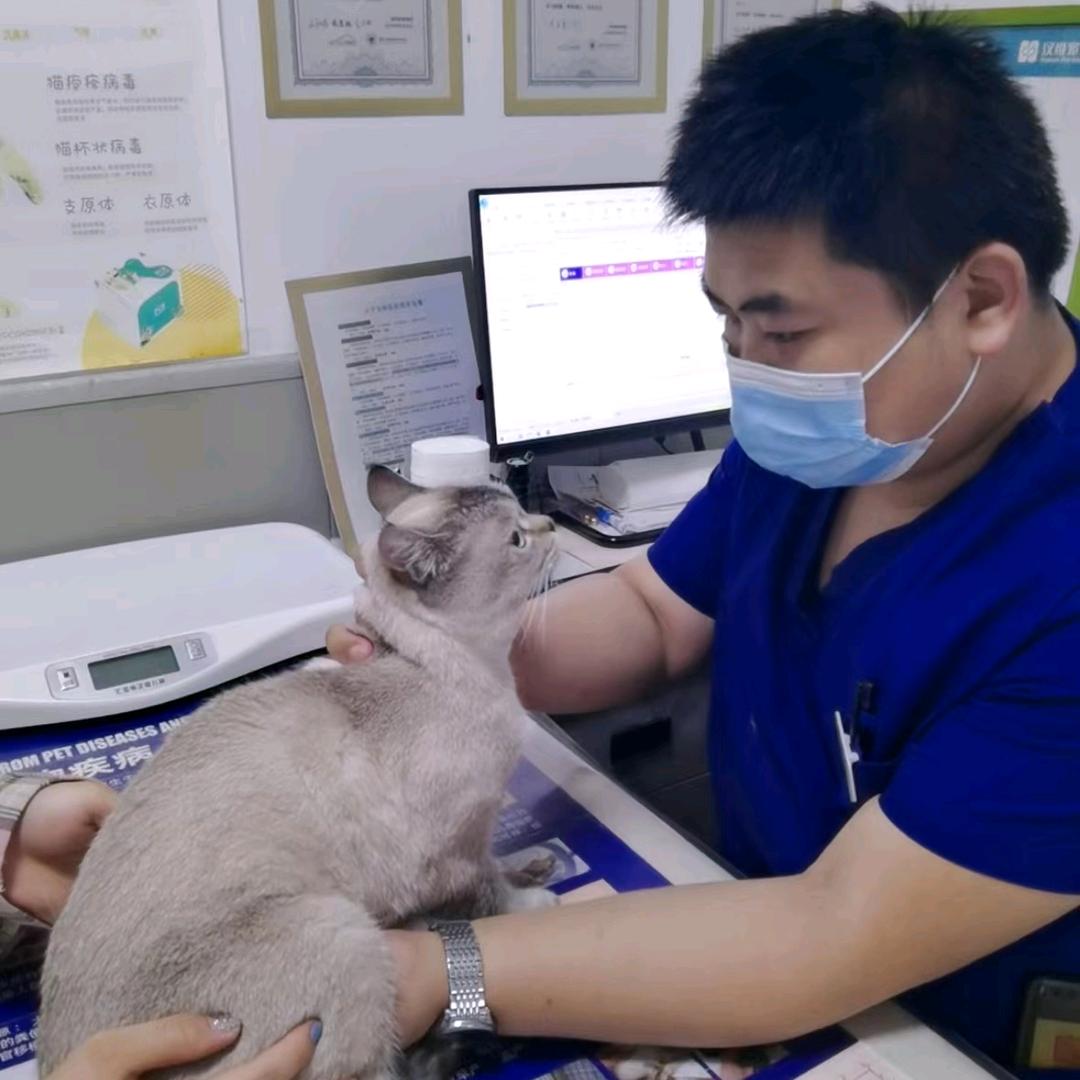 韩城宠物医生－VET.张