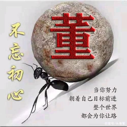 漂泊在外的泗阳人(阿董)