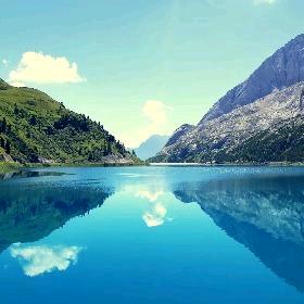 锦鲤在线(承蒙厚爱)