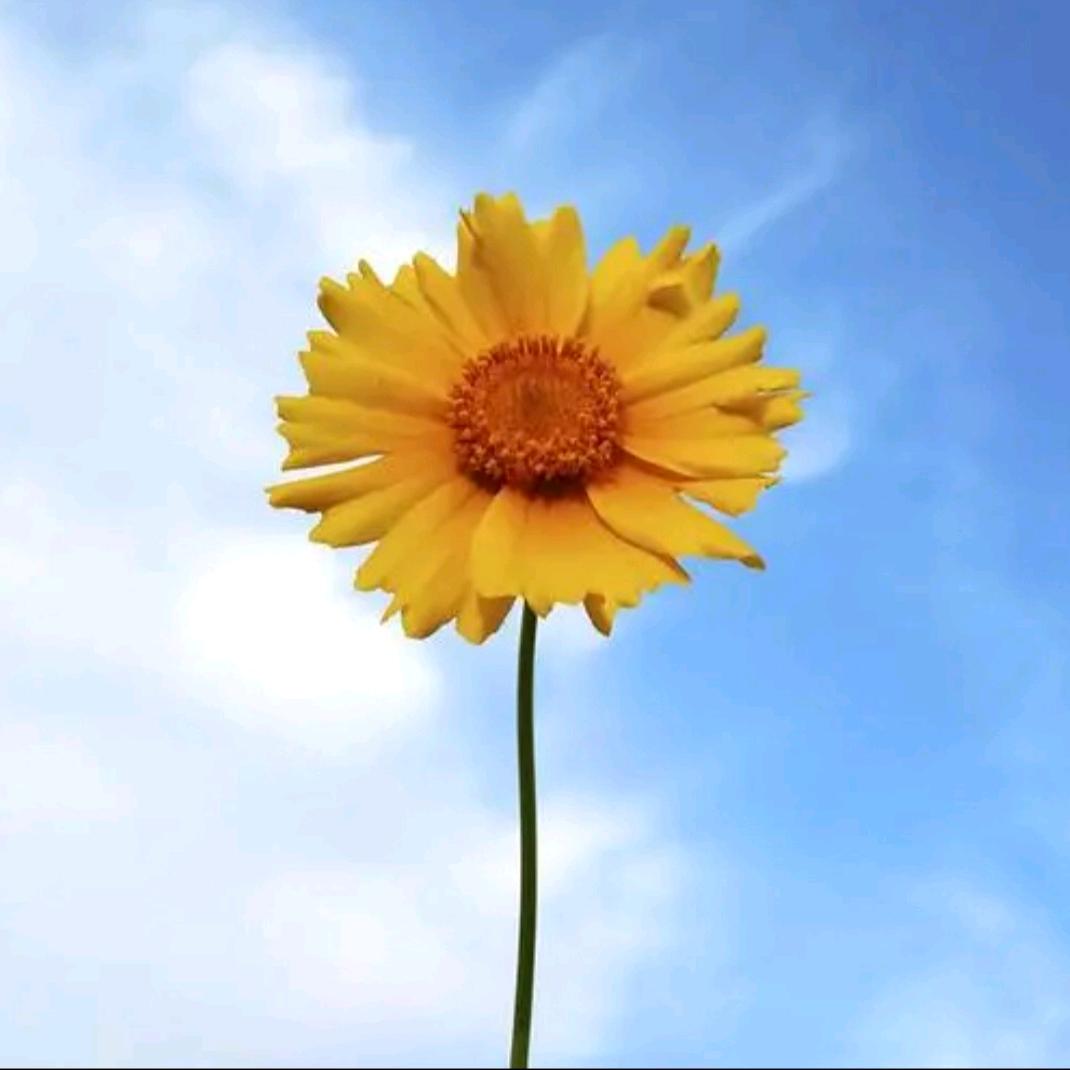 拨云见日