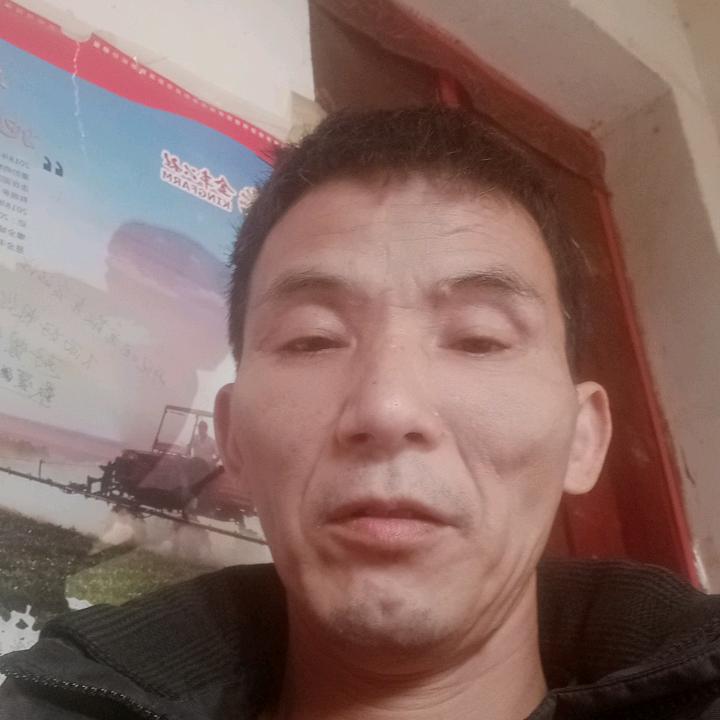 劲劲松