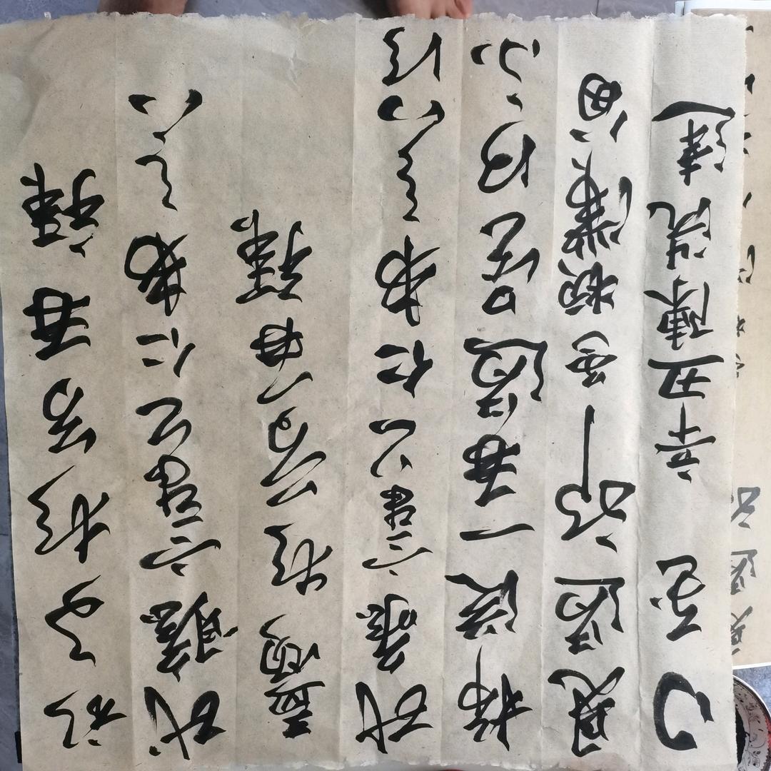 陈建光