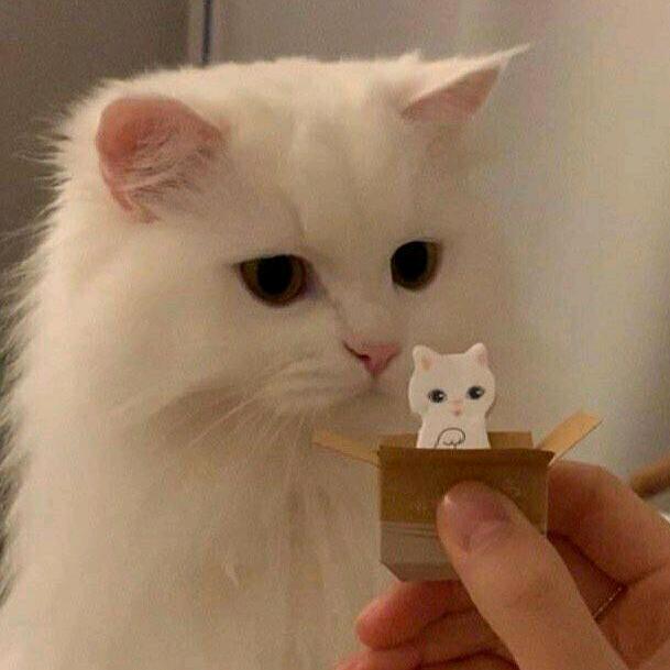 不知何年