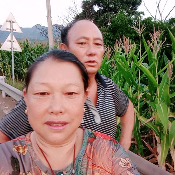 大姐姐