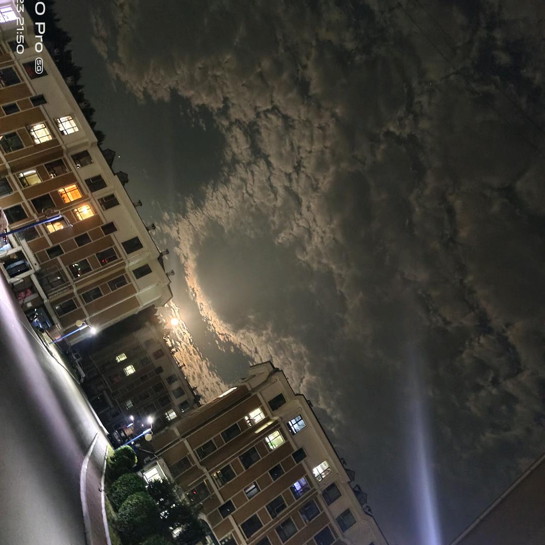 栀子比众木